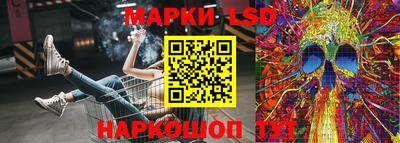 гидропоника Дубна