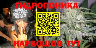 гидропоника Дубна