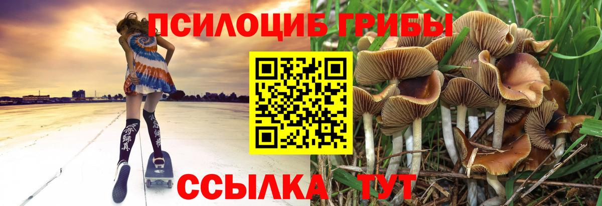 Псилоцибиновые грибы прущие грибы  Вход с VPN  Галлюциногенные грибы мицелий  Новосибирск 