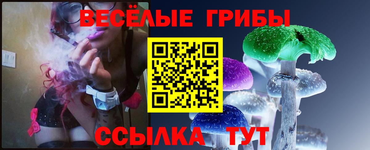 Галлюциногенные грибы Psilocybine cubensis Новосибирск
