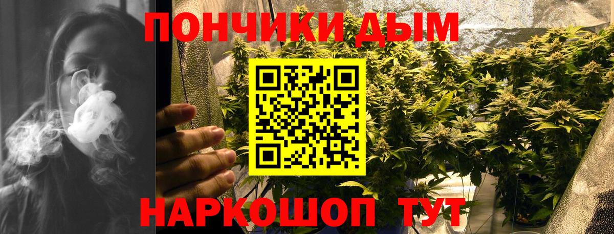Новосибирск  Каннабис конопля  Конопля планчик  Конопля Bruce Banner  Шишки марихуана OG Kush  Вход с VPN 